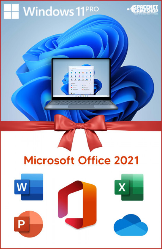 Microsoft Windows 11 PRO & Microsoft Office 2021 Bundle