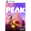 PEAK PS5