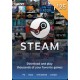 Steam Wallet $25